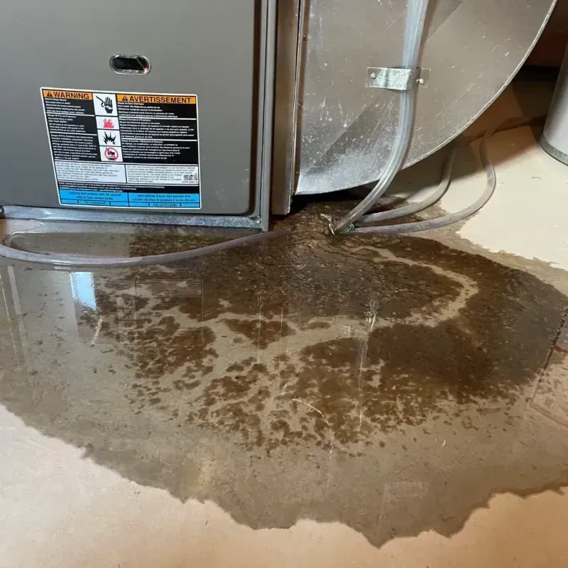 Appliance Leak Cleanup in Marlton, MD